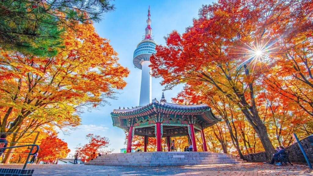 Korea Tour 5 Days 4 Nights – Seoul, Nami Island, Everland