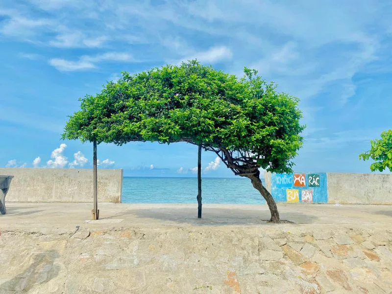 Tour Đảo Phú Quý – Phan Thiết 3 ngày 2 đêm