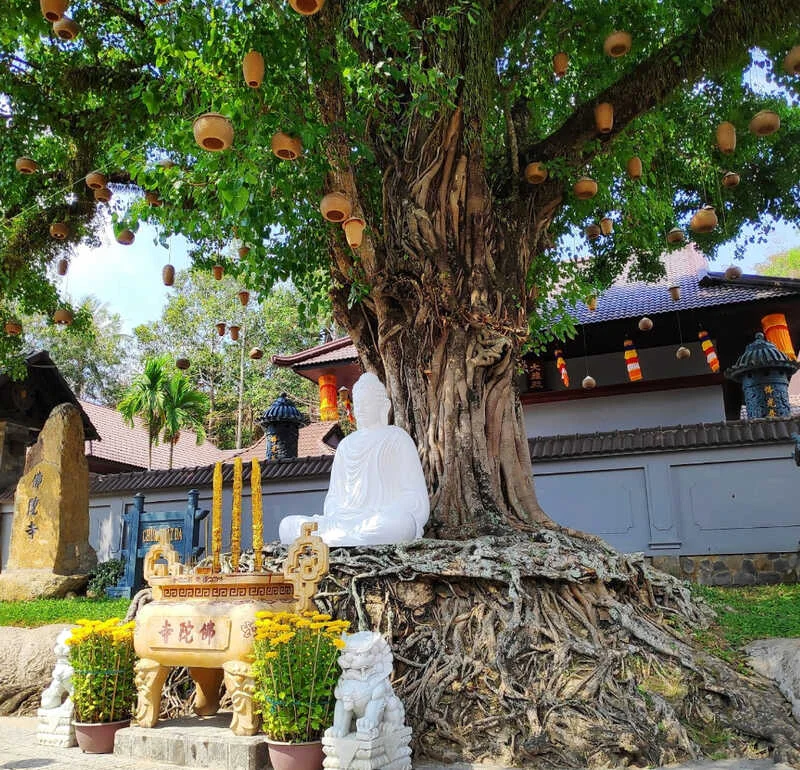 Tour Châu Đốc – Hà Tiên 2 ngày 1 đêm