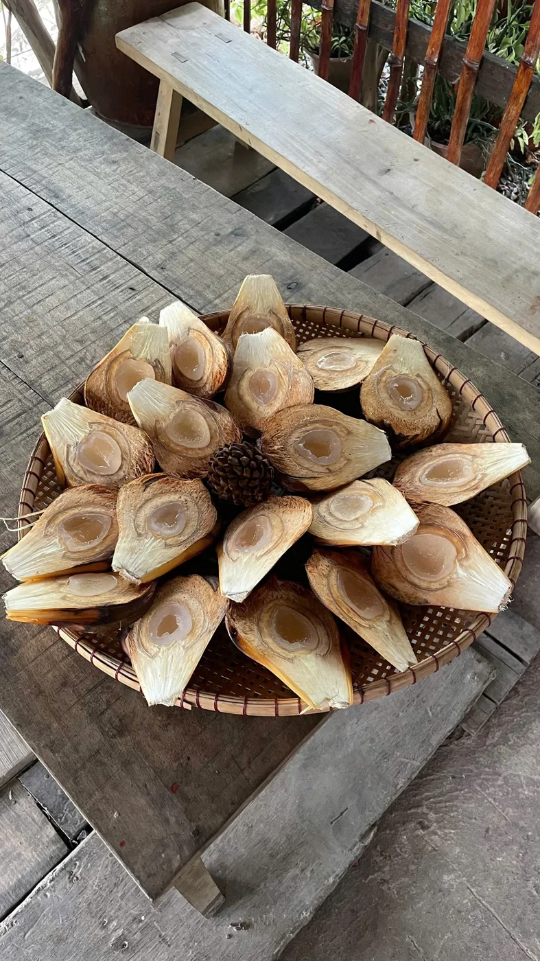 Tour Trà Vinh – Cồn Chim 2 ngày 1 đêm
