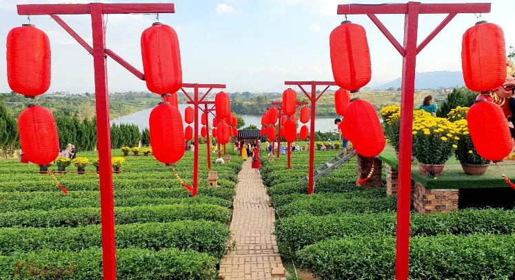 Tour Đà Lạt mùa Giáng sinh 3 ngày 2 đêm