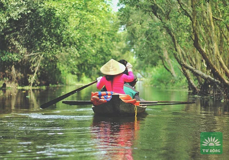 Du ngoạn thuyền giữa rừng tràm Xẻo Quýt, Đồng Tháp